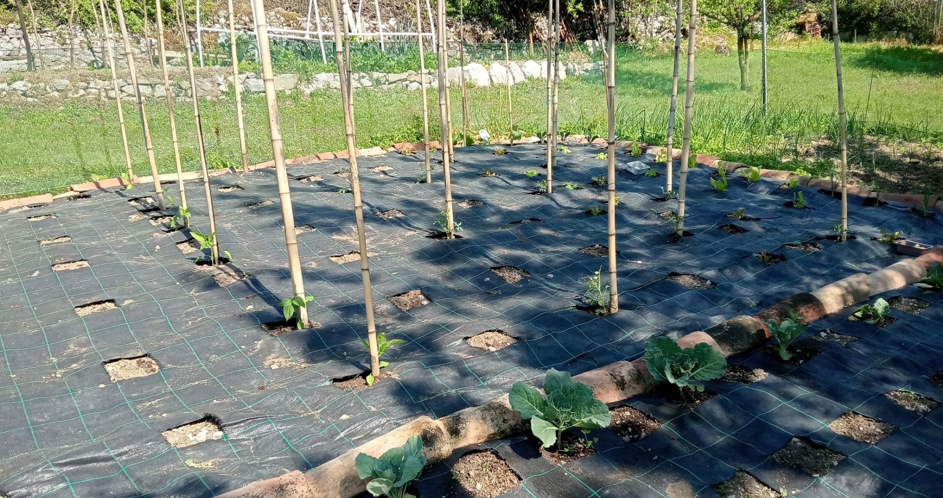 ''Roncal'', verdure di stagione con passione piemontese